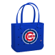 Baby_Chicago-Cubs_A.png