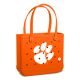 Baby_Clemson-Tigers_A.png