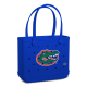 Baby_Florida-Gators_A.png