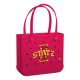 Baby_Iowa-State-Cyclones_A.png