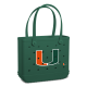 Baby_Miami-Hurricanes_A.png