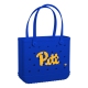 Baby_Pittsburgh-Panthers_A.png