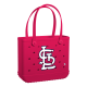 Baby_St-Louis-Cardinals_A.png