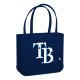 Baby_Tampa-Bay-Rays_A.png