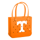 Baby_Tennessee-Volunteers_A.png