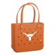 Baby_Texas-Longhorns_A.png