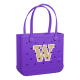 Baby_Washington-Huskies_A.png