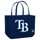 Original_Tampa-Bay-Rays_A.png